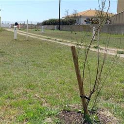 Emplacements de camping en bord de mer 