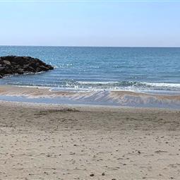 Plage à 20 mètres du camping 